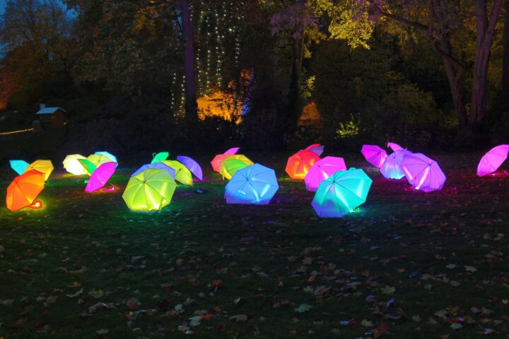 Rietberger Traumpfade Tagestickets